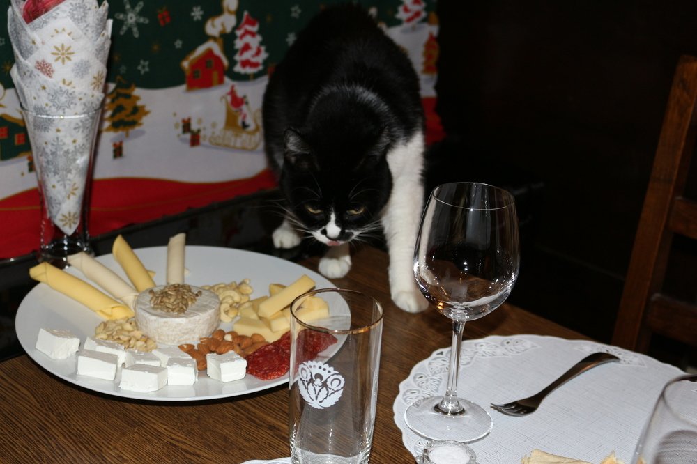 Фотография автора მარიამი თარიმანაშვილი