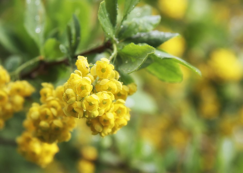 Photograph by Алена Яцун