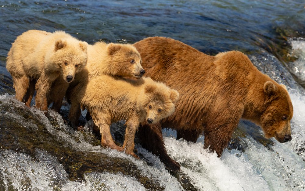 Photograph by Raquel Barao