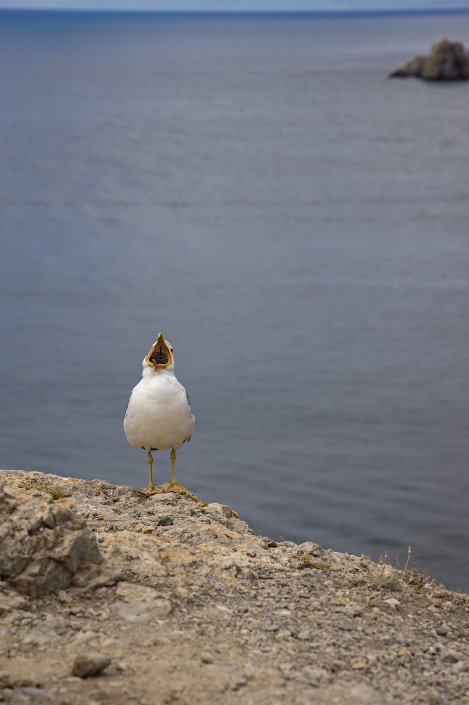 Photograph by Екатерина Ларина