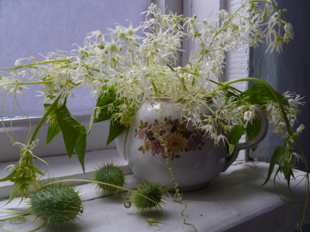 Photograph by Светлана Фёдорова