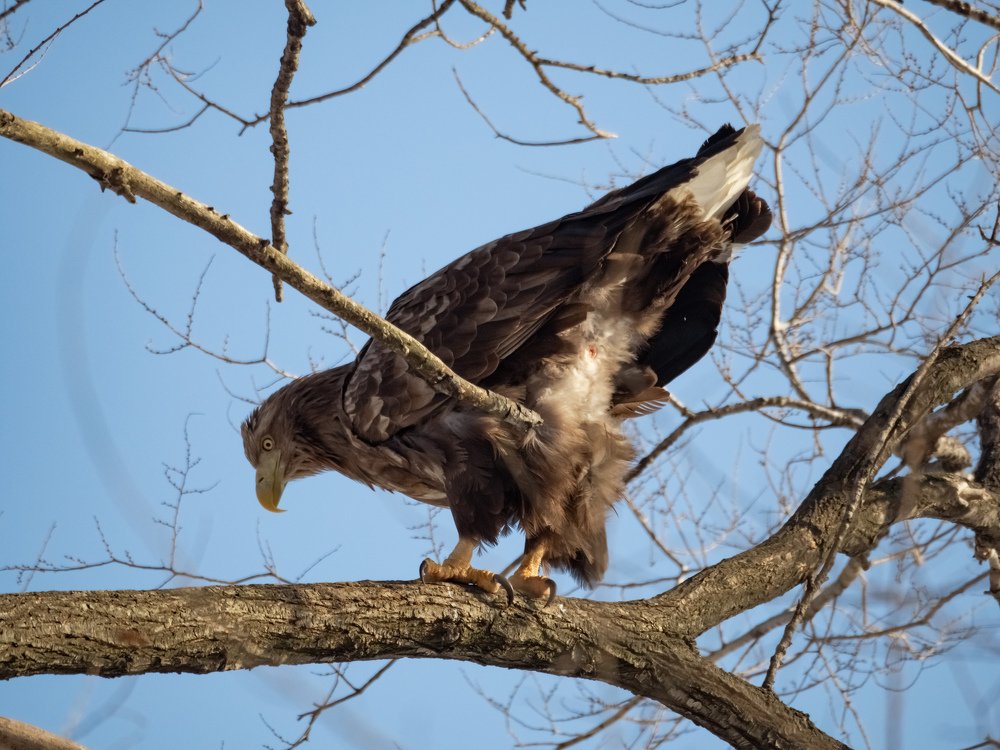 Photograph by Pavel Milovankin