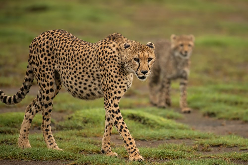 Photograph by Rafael Maffessoni