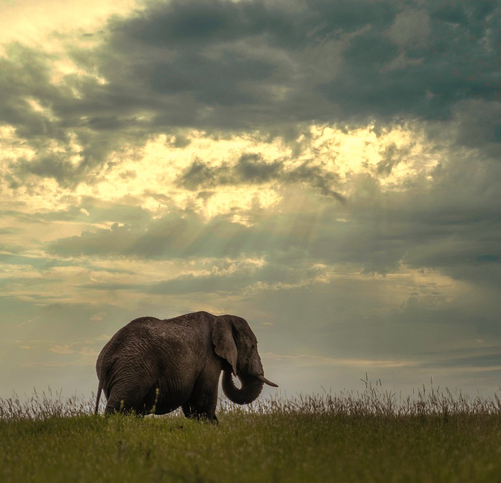 Photograph by Rafael Maffessoni