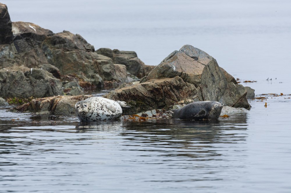 Photograph by TAISIA CHAIKA