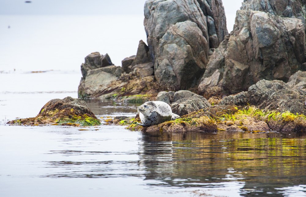 Photograph by TAISIA CHAIKA