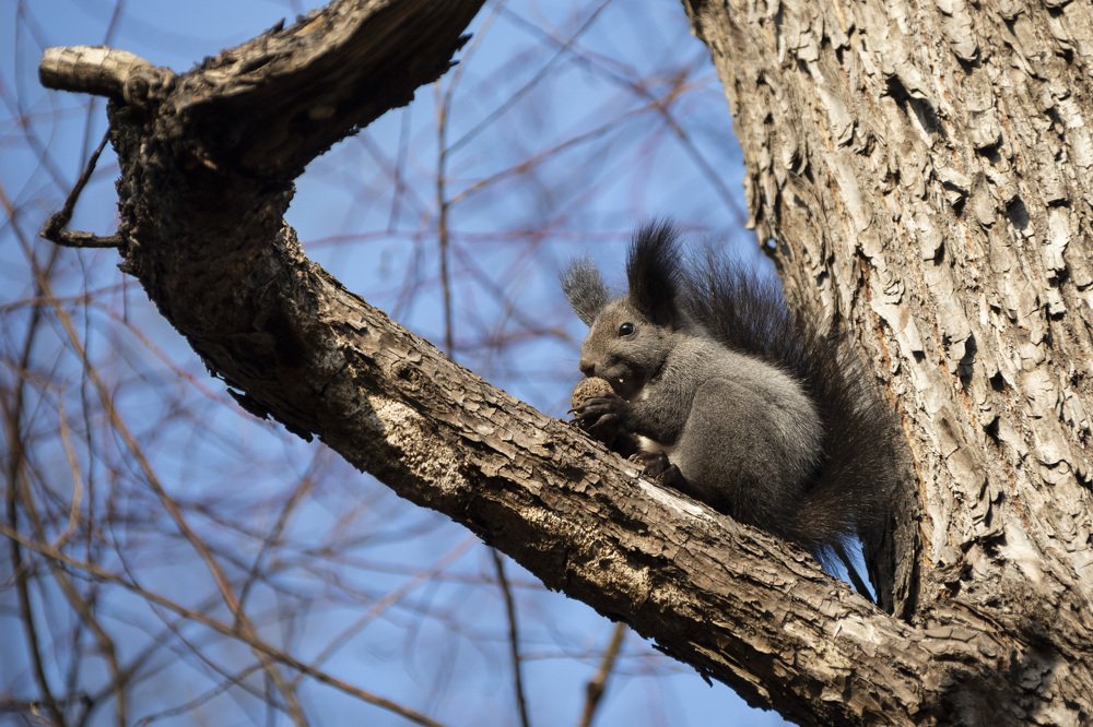 Photograph by TAISIA CHAIKA