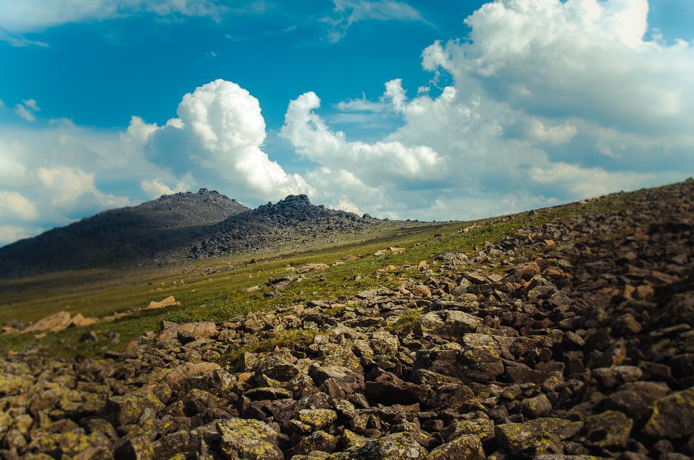 Photograph by Людмила Зяблова