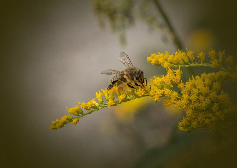 Photograph by Евгений Михеев