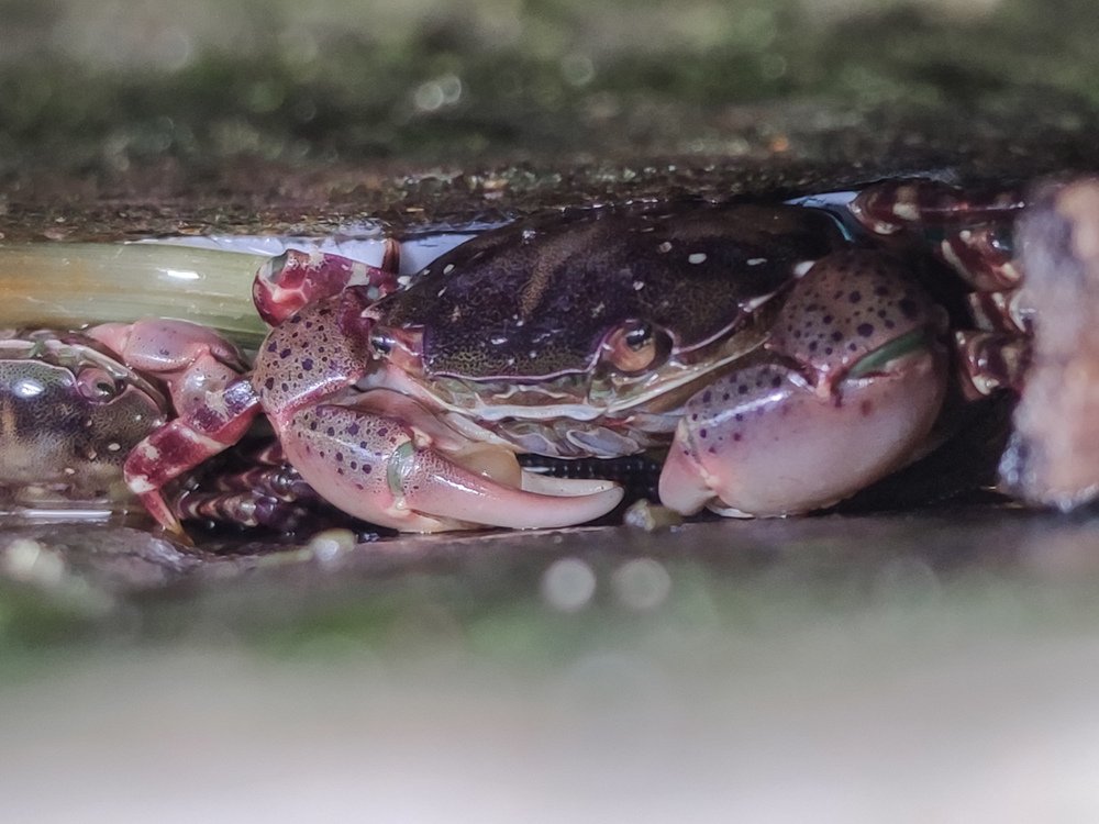 Photograph by Pavel Milovankin