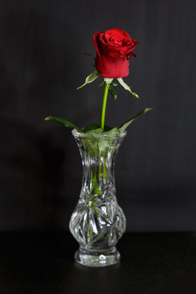 Photograph by Анна Артёменко
