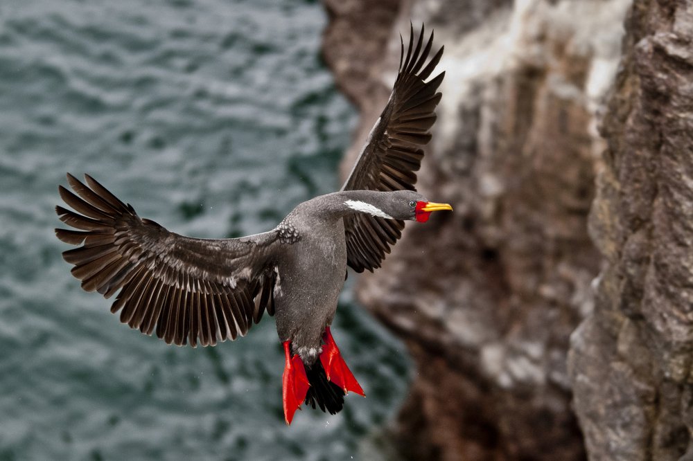 Photograph by SI SABER LOTFI