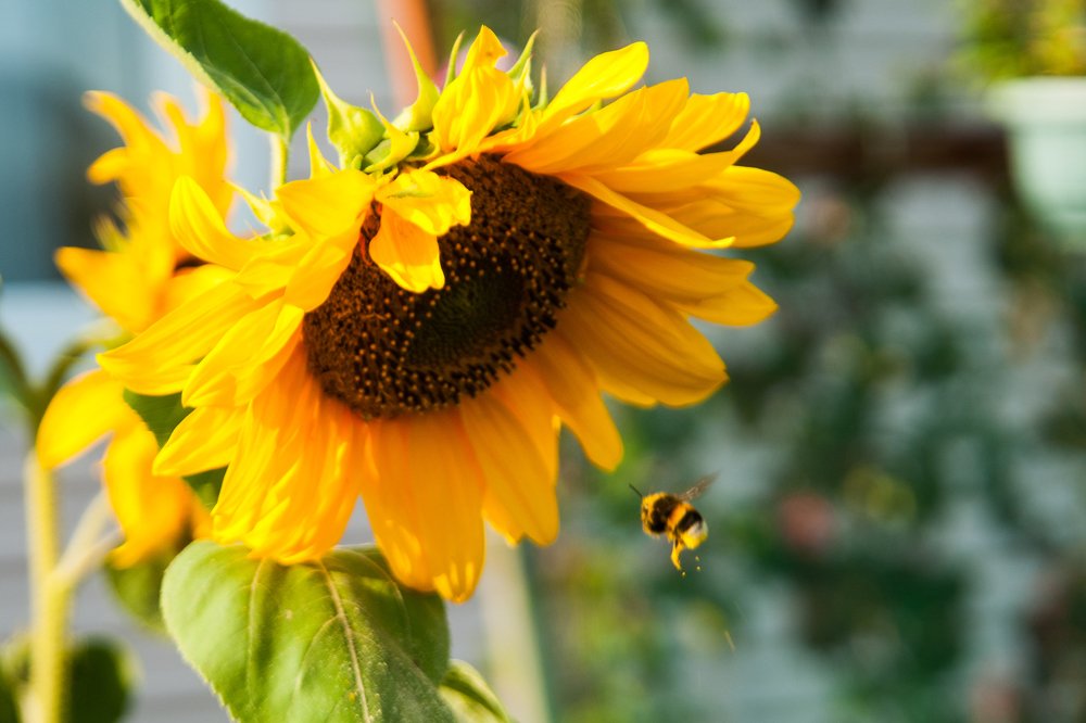 Photograph by Галина Завязкина