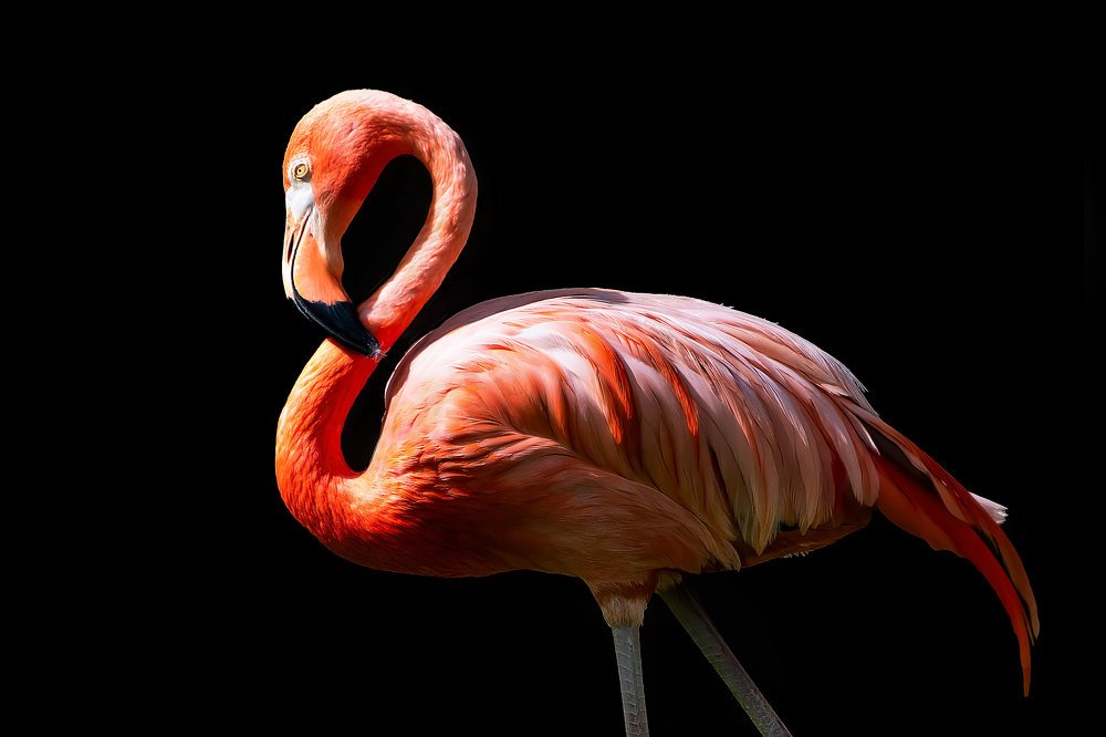 Photograph by David Lerer