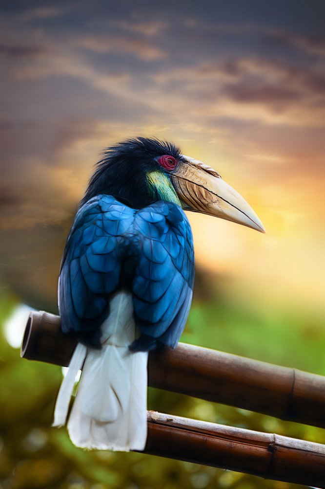 Photograph by David Lerer