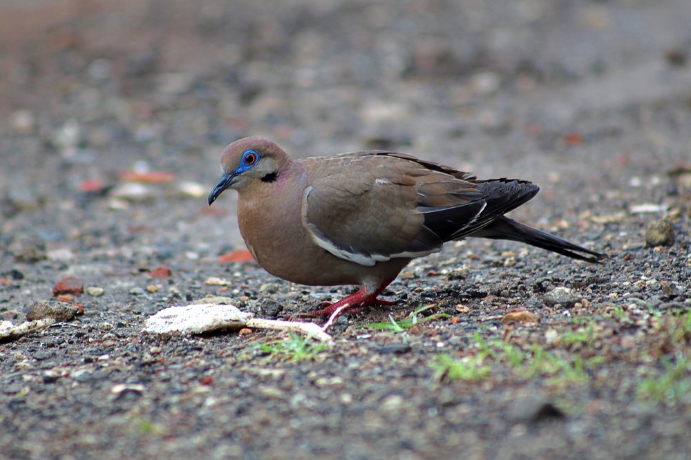 Photograph by Javier Fuentes