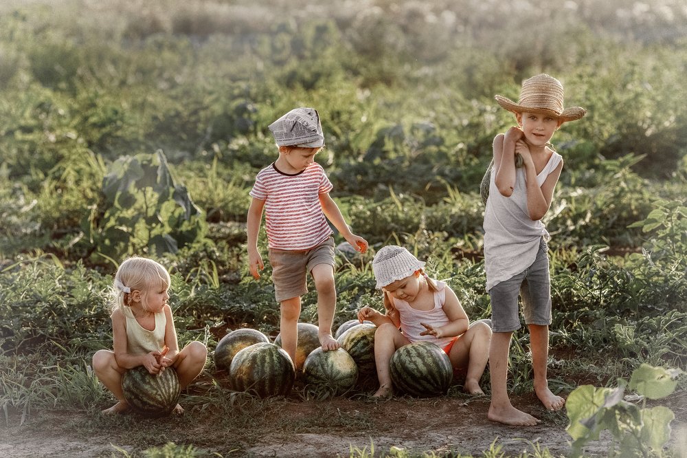 Photograph by Наталья Водовозова