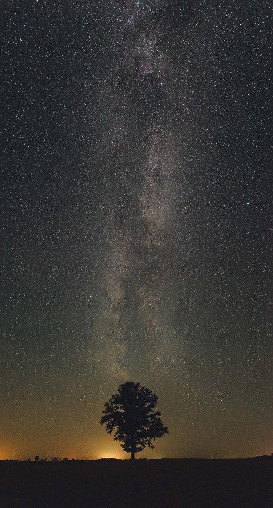 Photograph by Vladimirs Kondratjevs