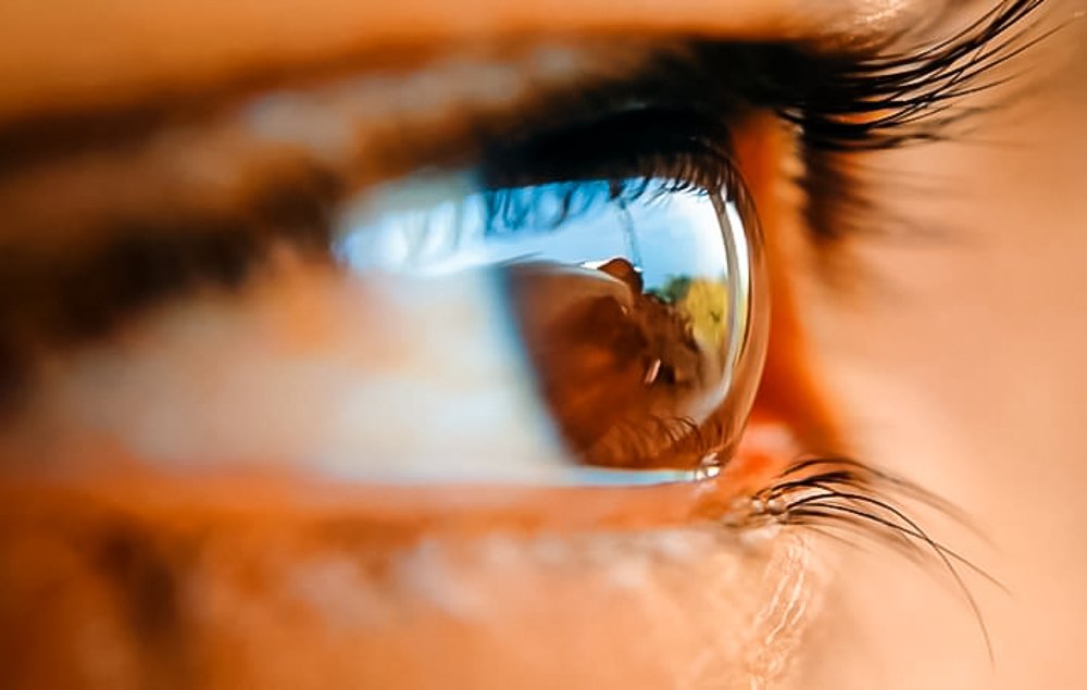 Photograph by Mehedi Hasan