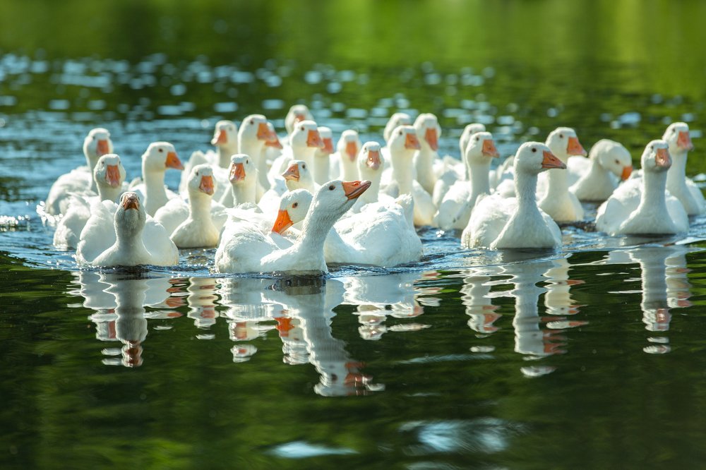 Photograph by Мария Бочкова