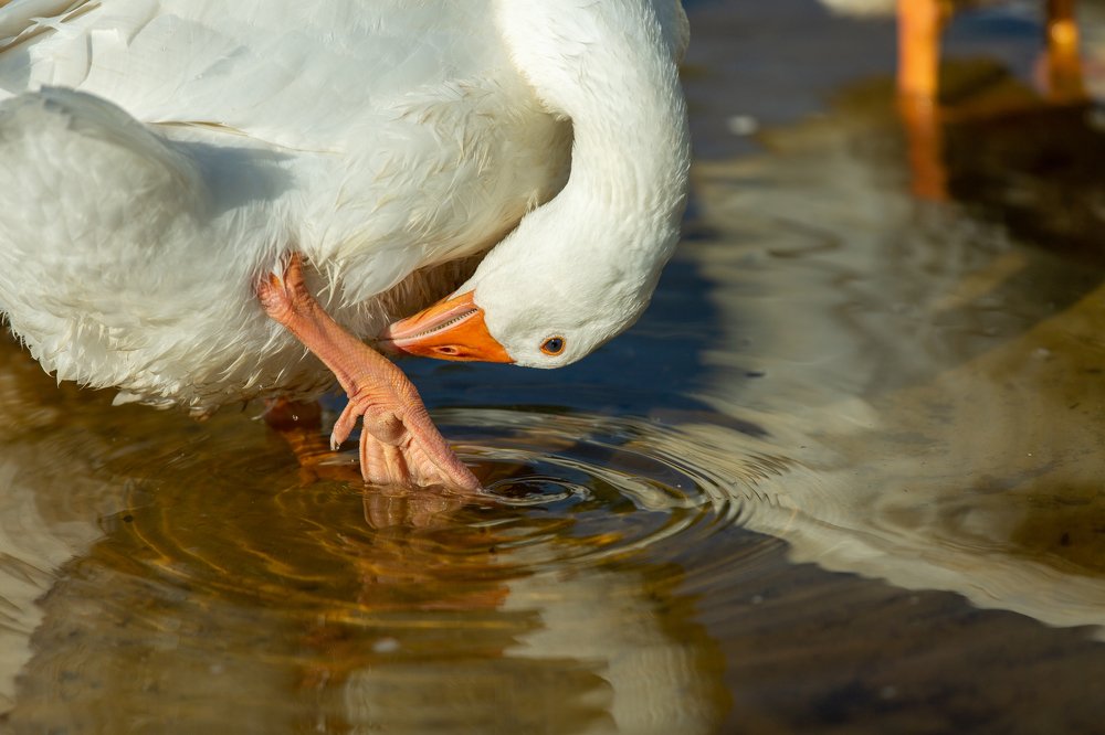 Photograph by Мария Бочкова