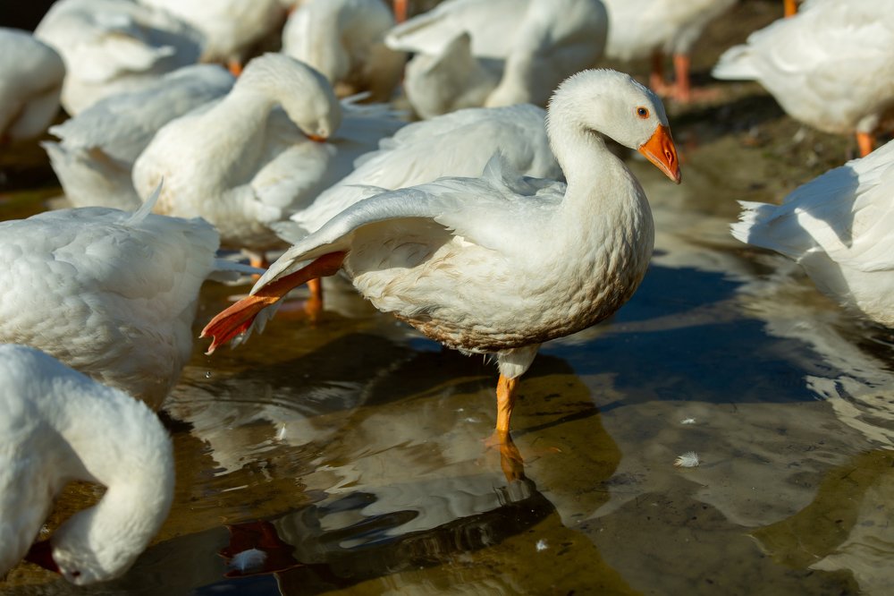 Photograph by Мария Бочкова