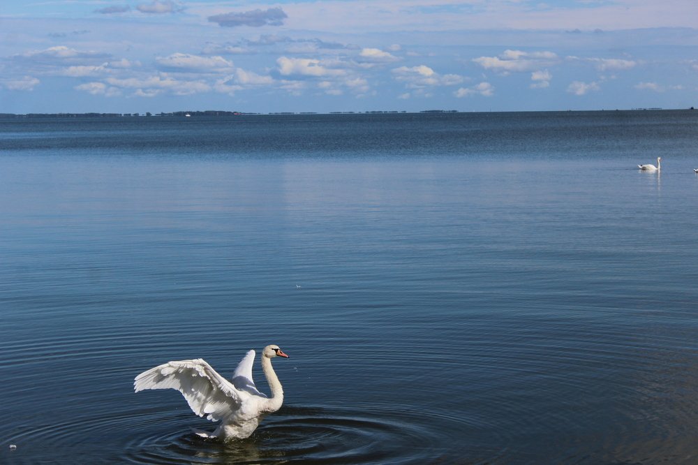 Фотография автора OKSANA