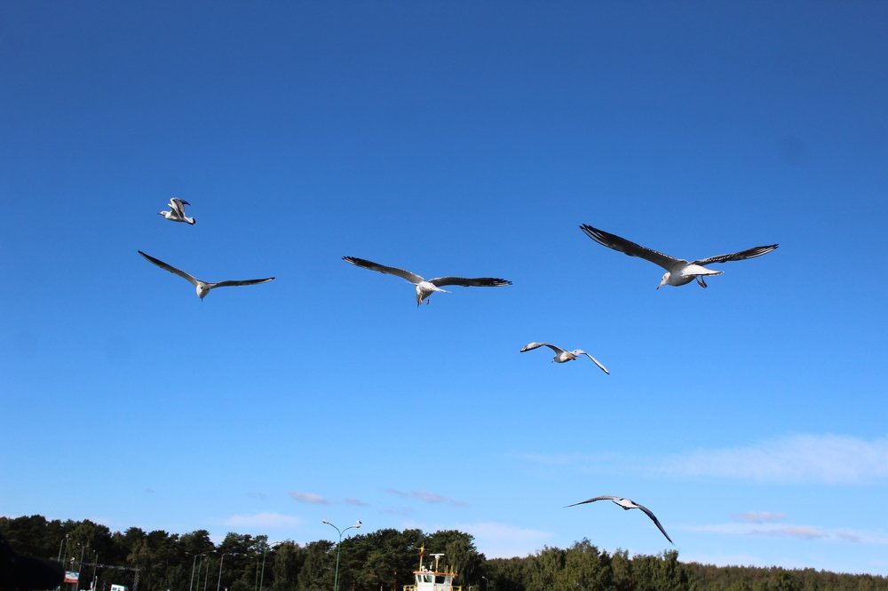 Фотография автора OKSANA