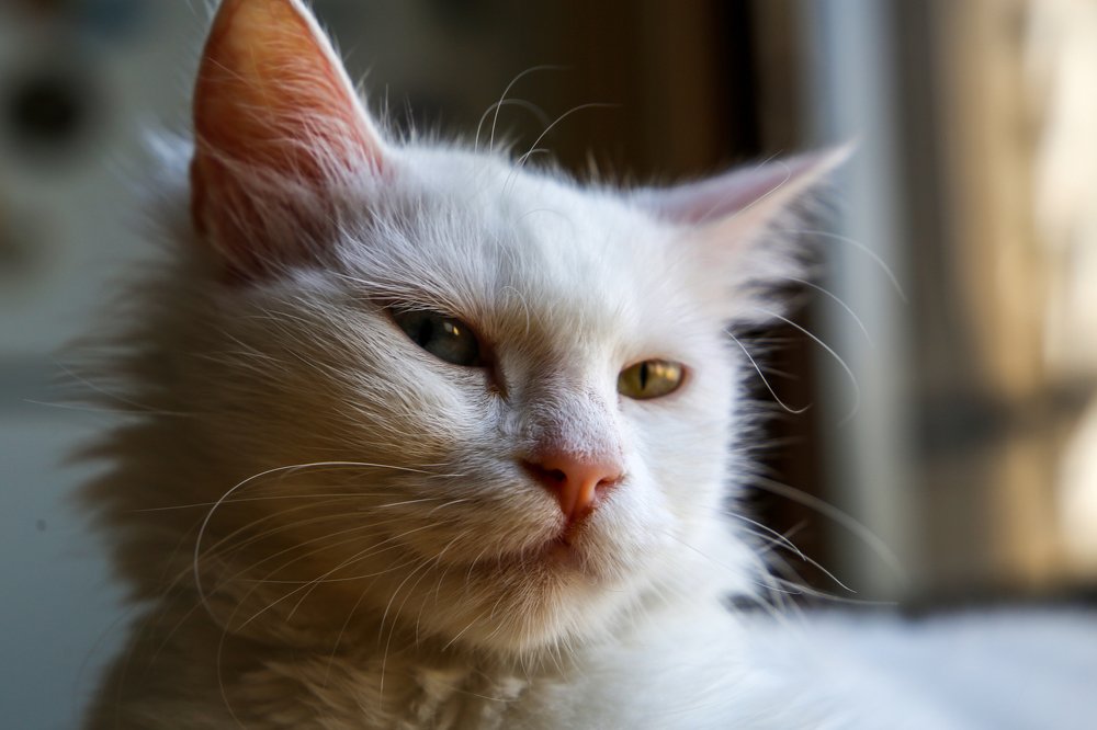 Photograph by Hiba Kallas