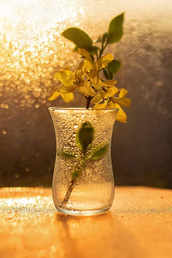 Photograph by Иванна Войт