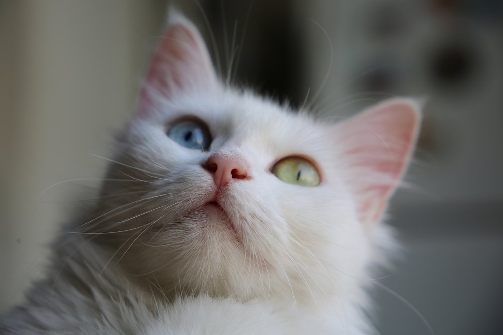 Photograph by Hiba Kallas