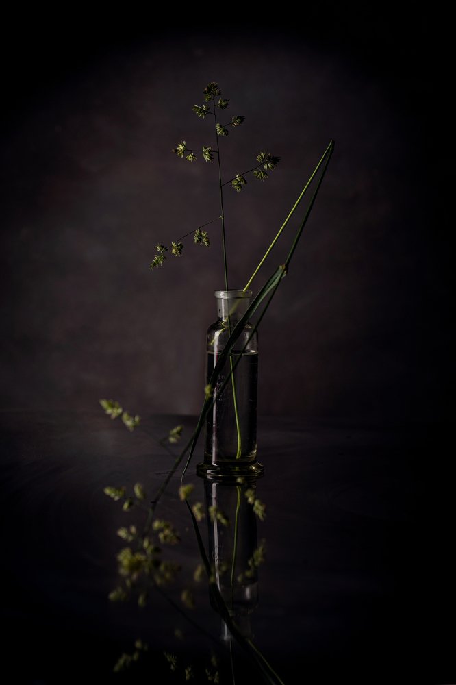 Photograph by Tatiana Oskina