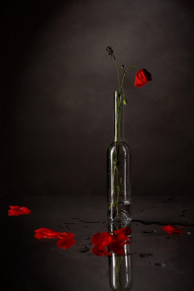 Photograph by Tatiana Oskina