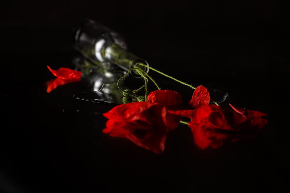 Photograph by Tatiana Oskina