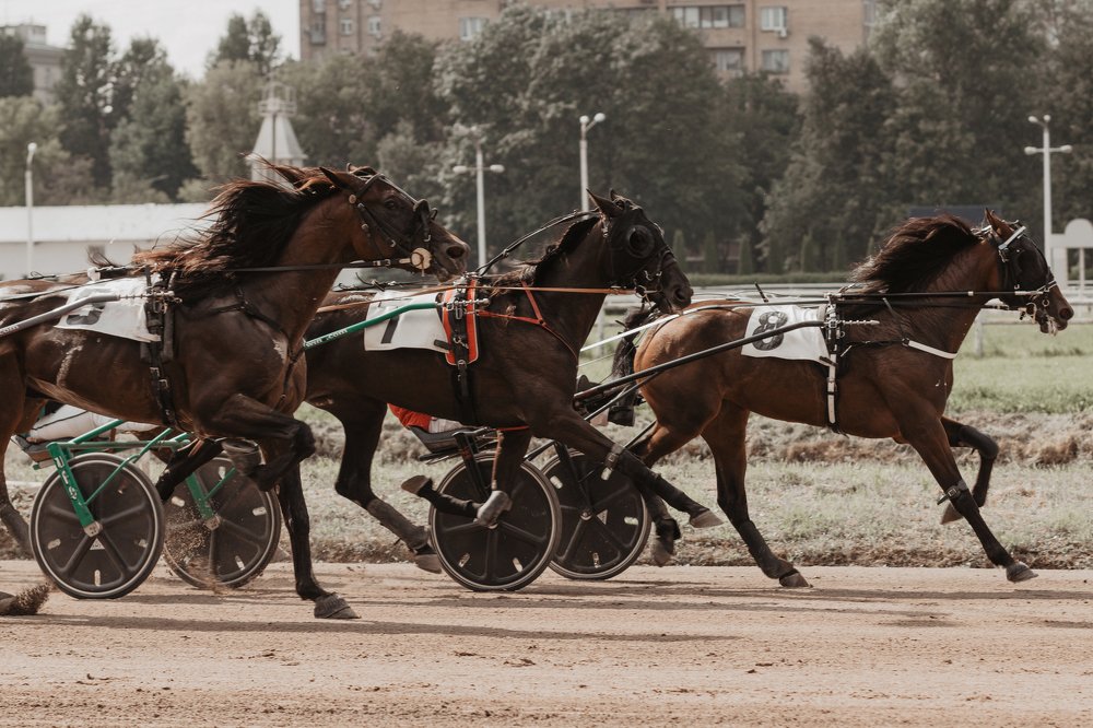 Photograph by Марина Кирпичникова