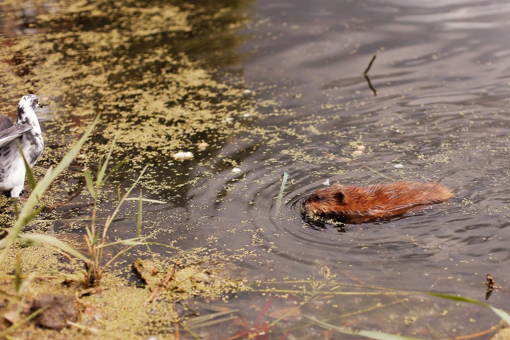 Photograph by Мария