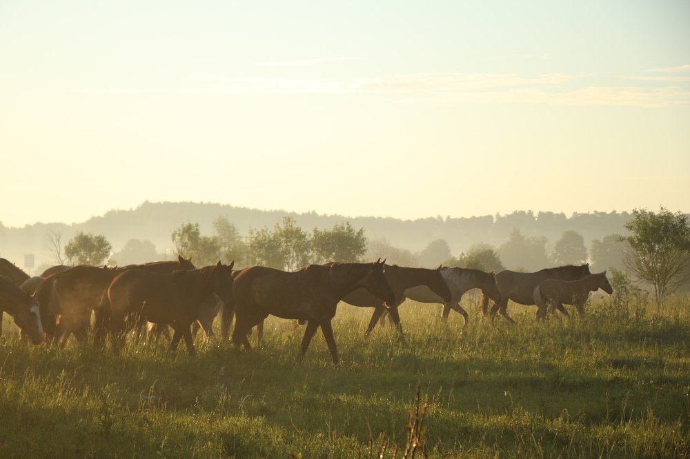 Photograph by Марина Кирпичникова