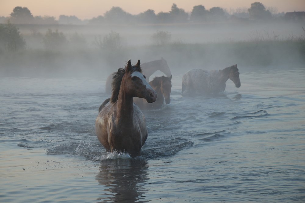 Photograph by Марина Кирпичникова