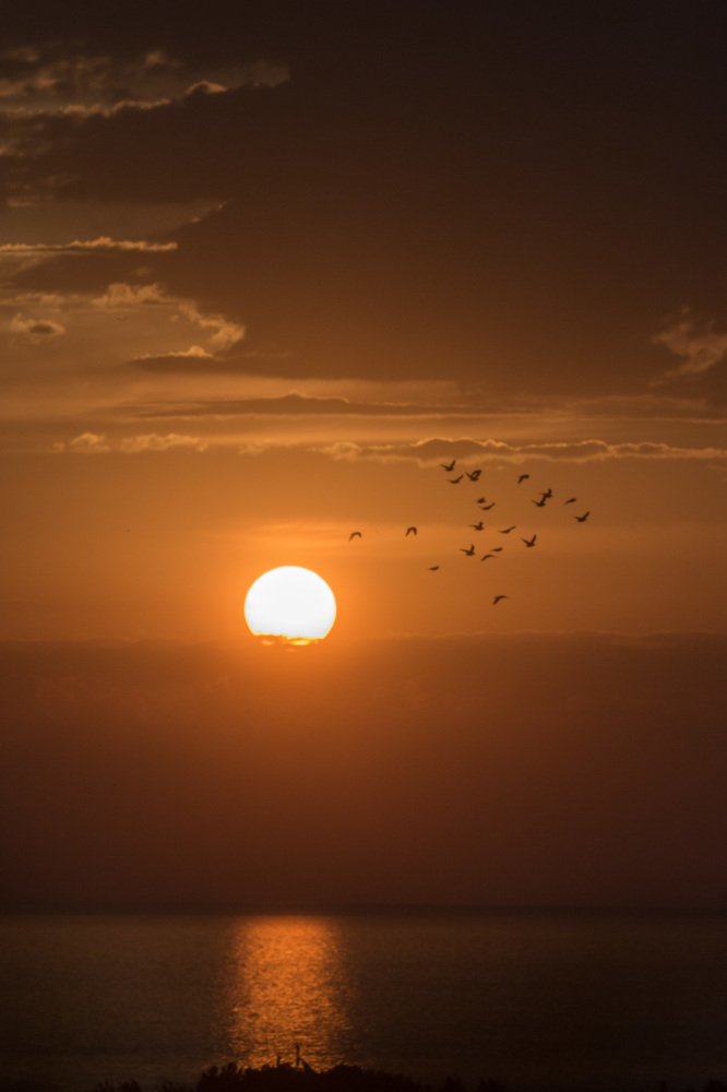 Photograph by Константин Сергеевич