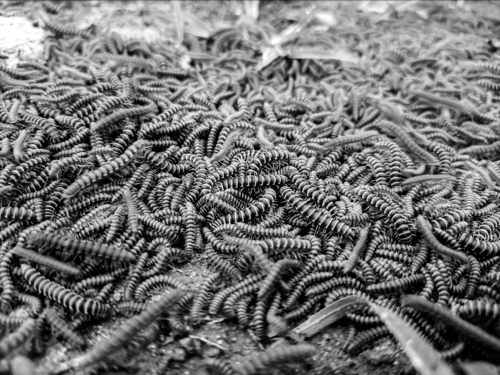 Photograph by Ibukunoluwa Oyerinde