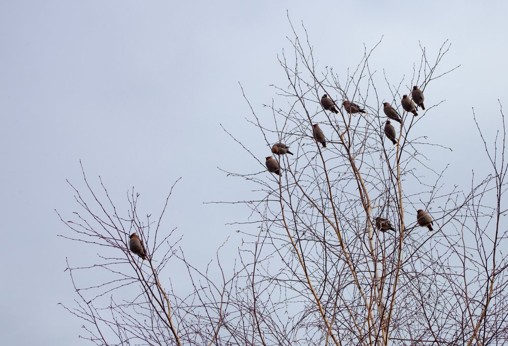 Photograph by Ирина Бучева