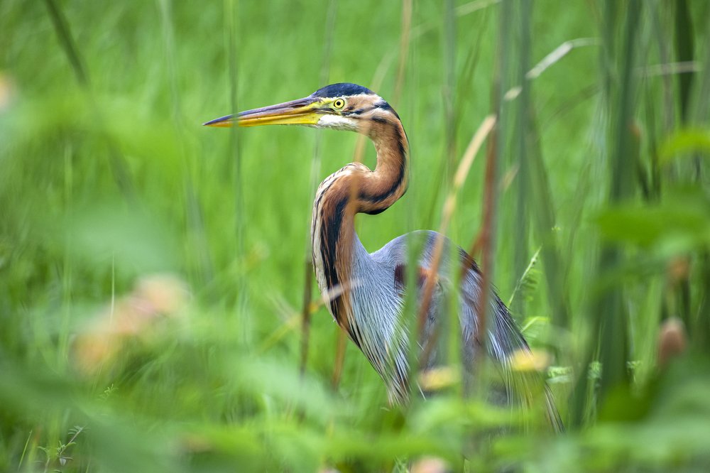 Photograph by mayur shrimali