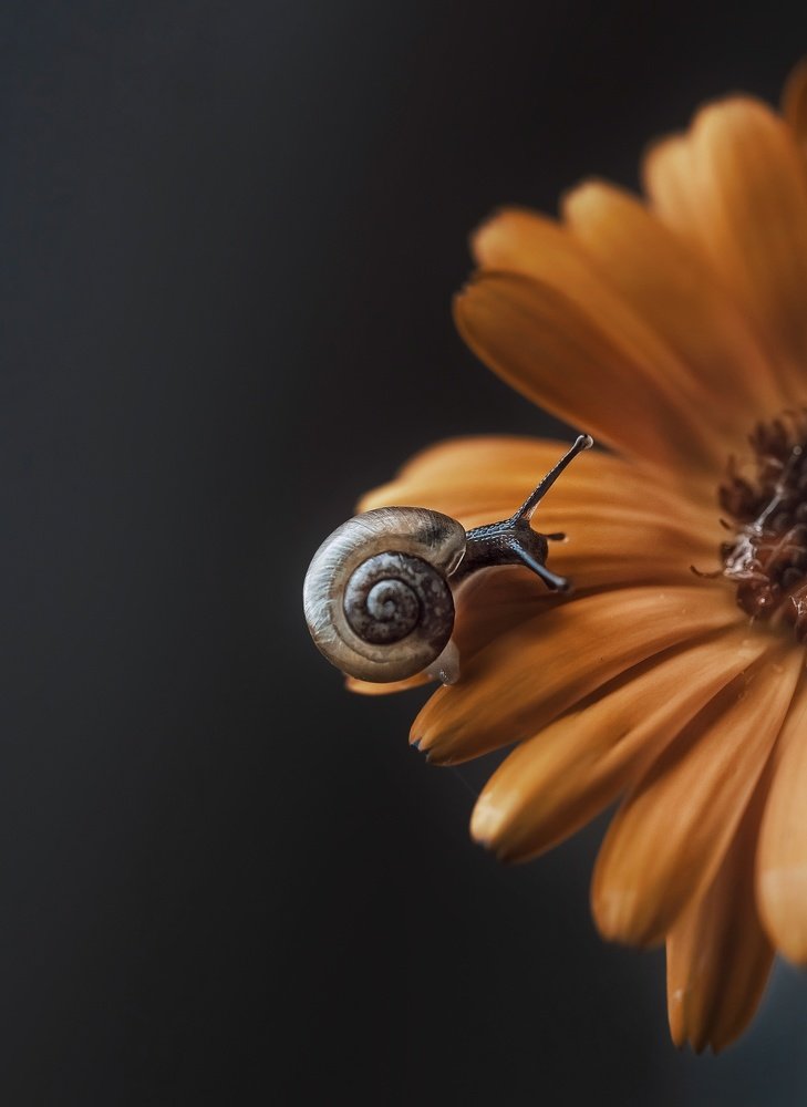 Photograph by Юлия Ильина