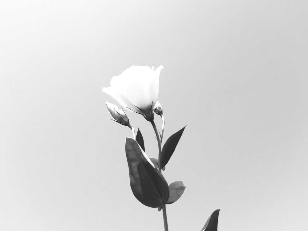 Photograph by Алсу Исмагилова