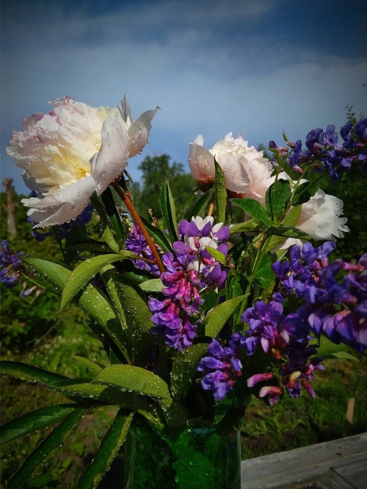 Photograph by Maria Pinigina
