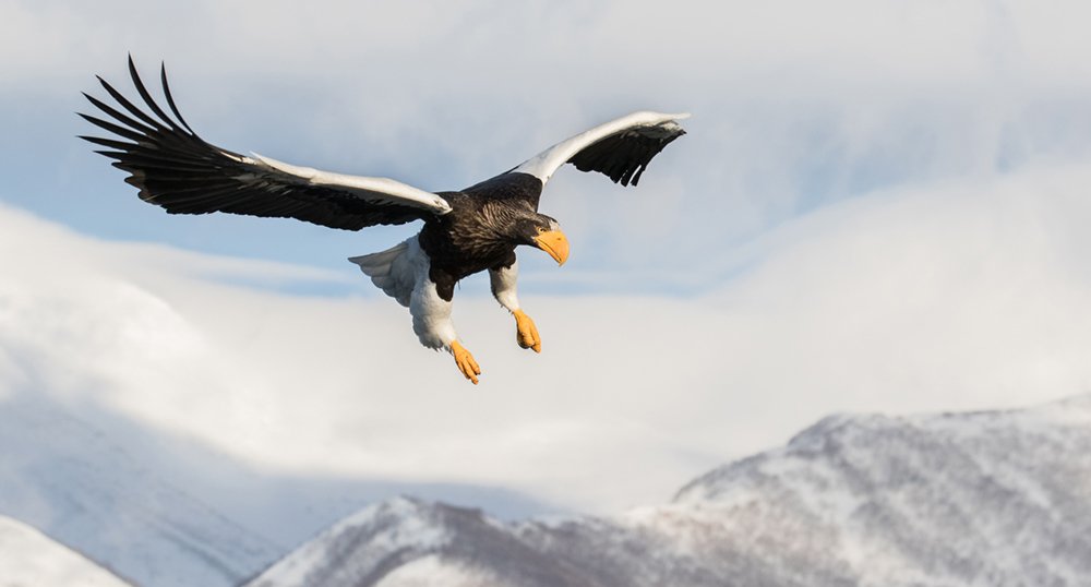 Photograph by TRACEY LUND