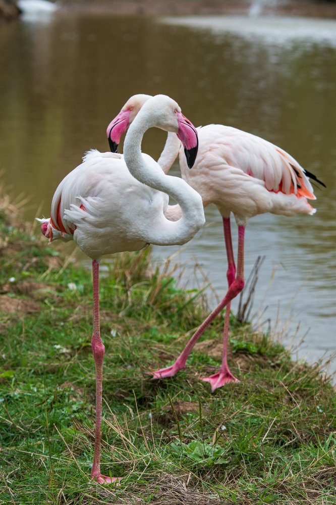 Photograph by Демьян Лопатов