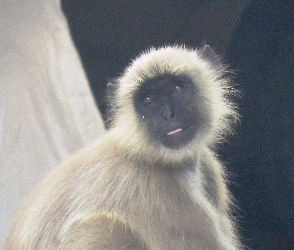 Photograph by suparna ghosh