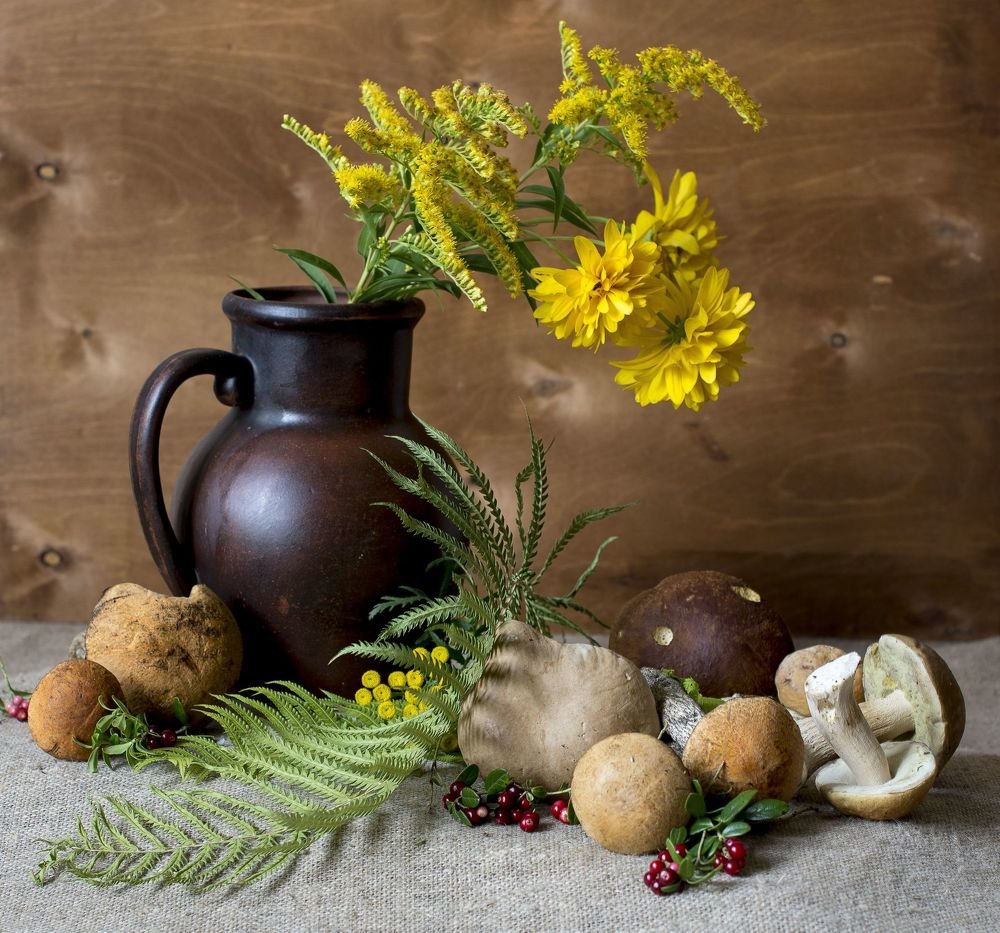 Грибочки пошли...