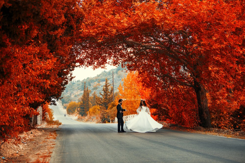 Фотография автора Ibrahim Jalal